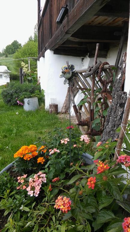 Penzion Drevenica Šumiac Zewnętrze zdjęcie