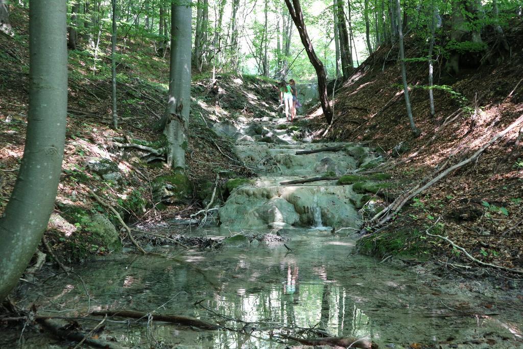 Penzion Drevenica Šumiac Zewnętrze zdjęcie